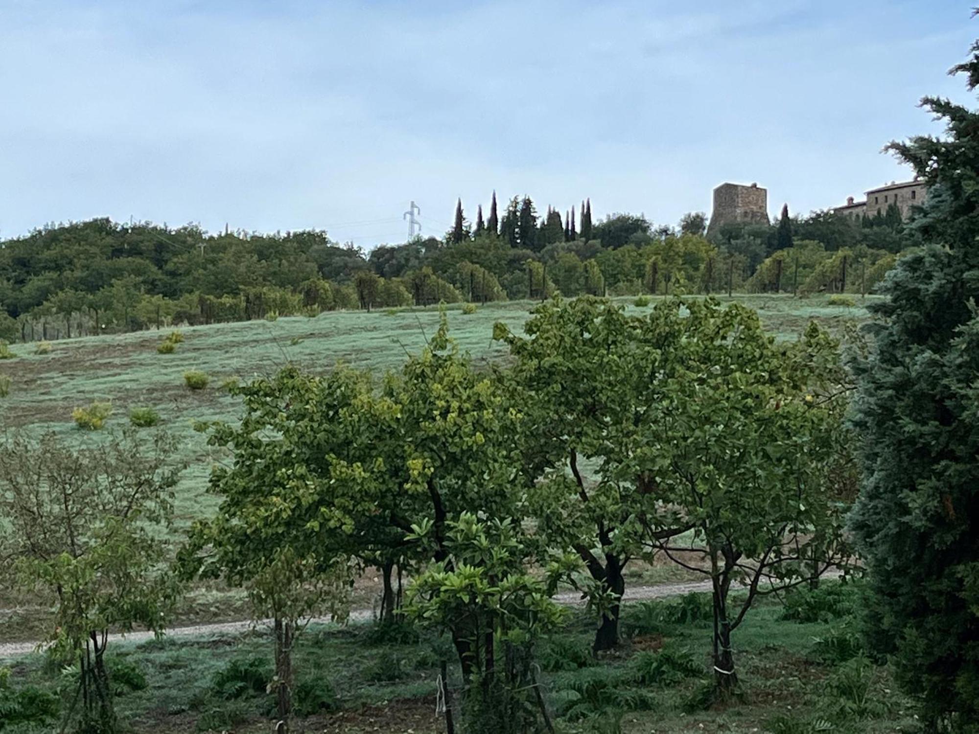 Agriturismo Le Querciole In Val D'Orcia Bagno Vignoni Extérieur photo