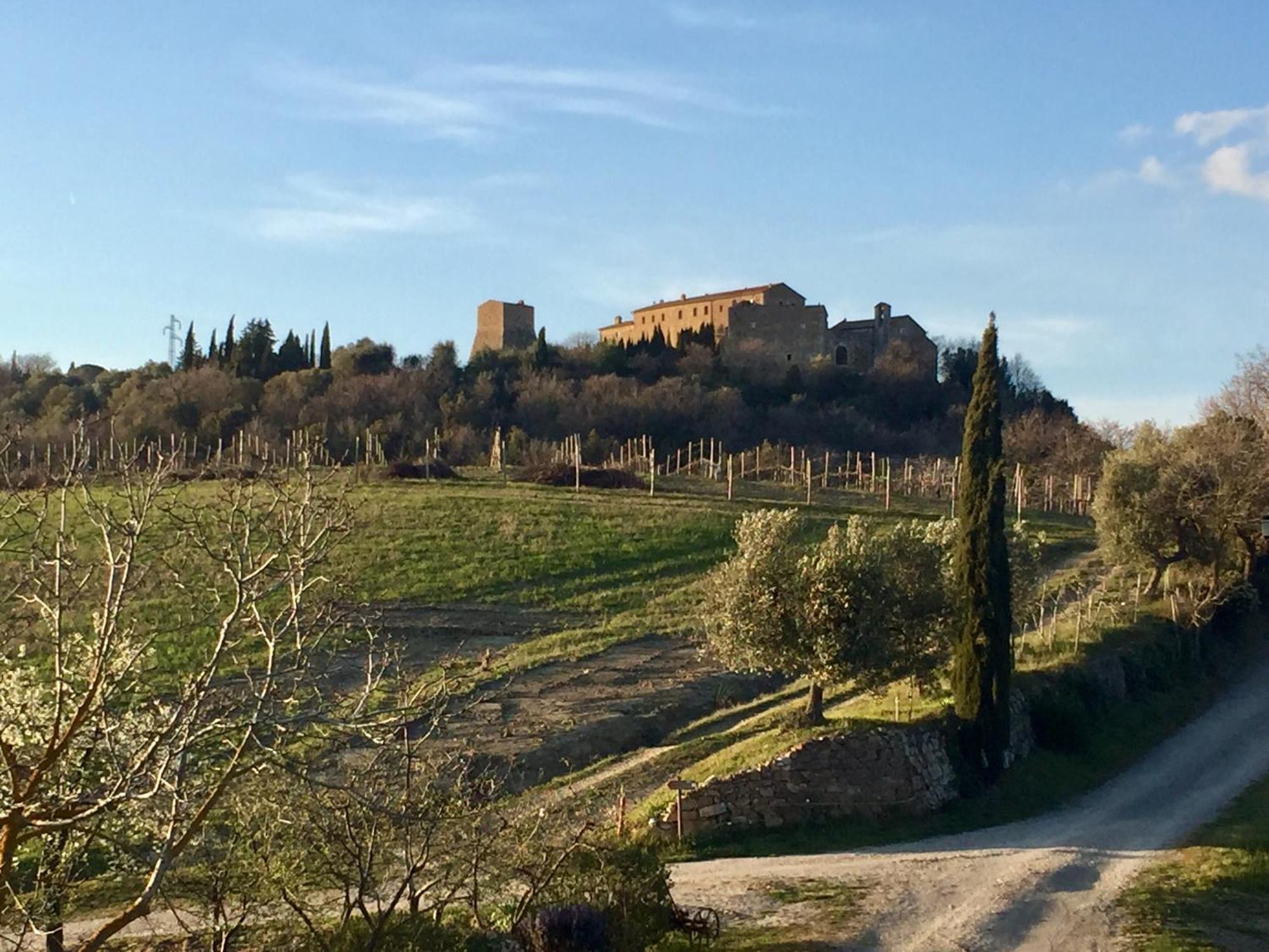 Agriturismo Le Querciole In Val D'Orcia Bagno Vignoni Extérieur photo