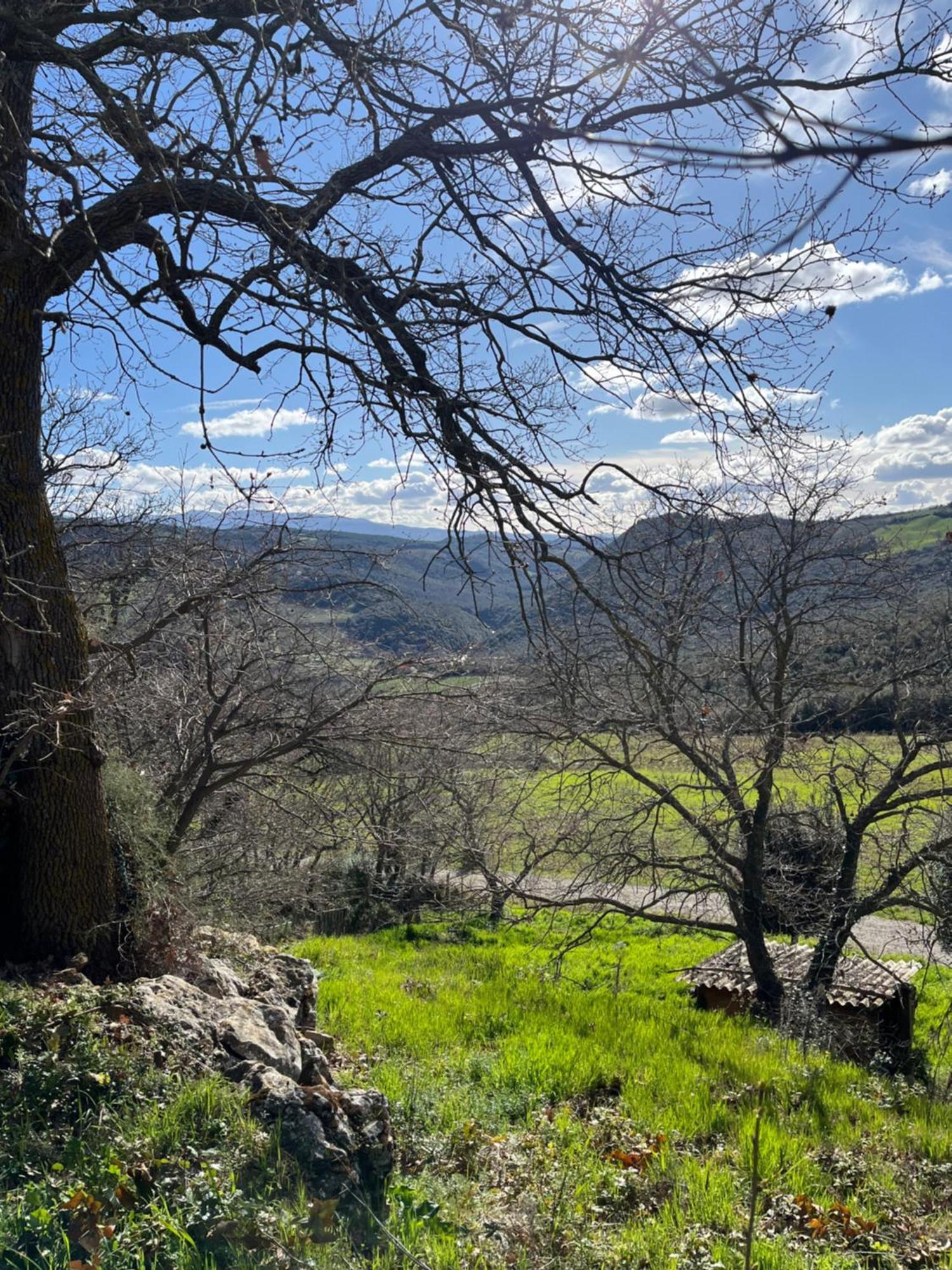 Agriturismo Le Querciole In Val D'Orcia Bagno Vignoni Extérieur photo